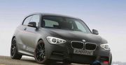 Dwa poziomy – Sportec M135i SB 370 (2013)