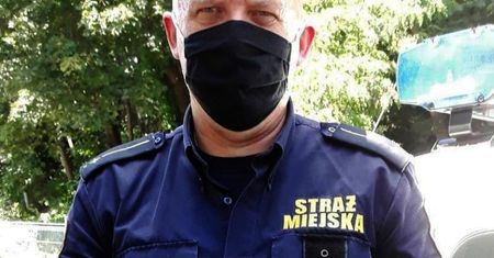 Strażnicy miejscy pomogli dwóm pustułkom