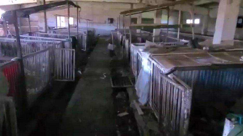 Rosjanie urządzili koszary w chlewie.