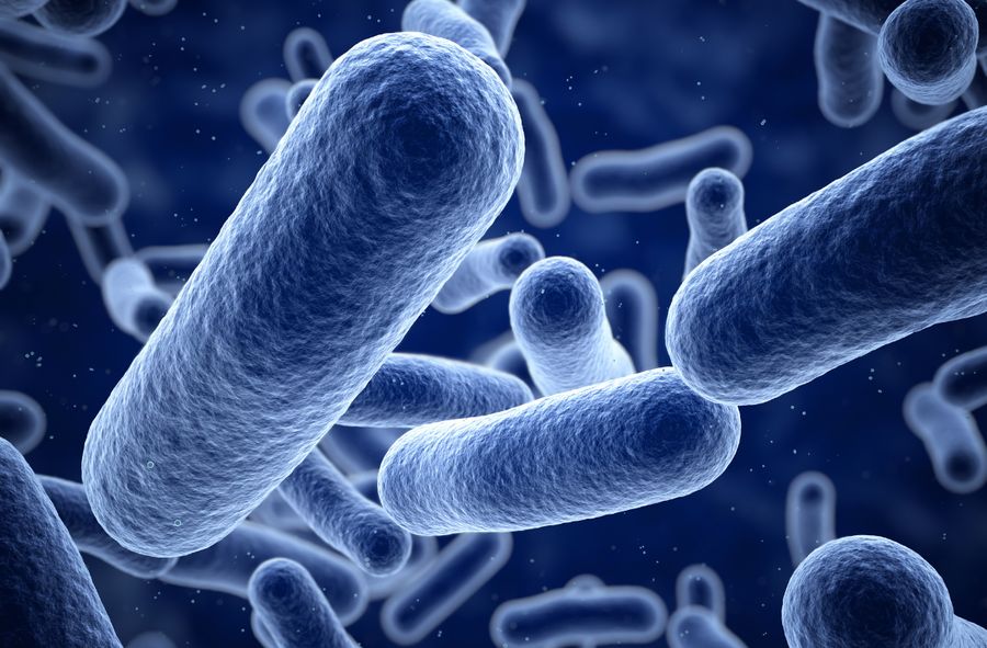 Co robić, by uniknąć zakażenia groźną bakterią?