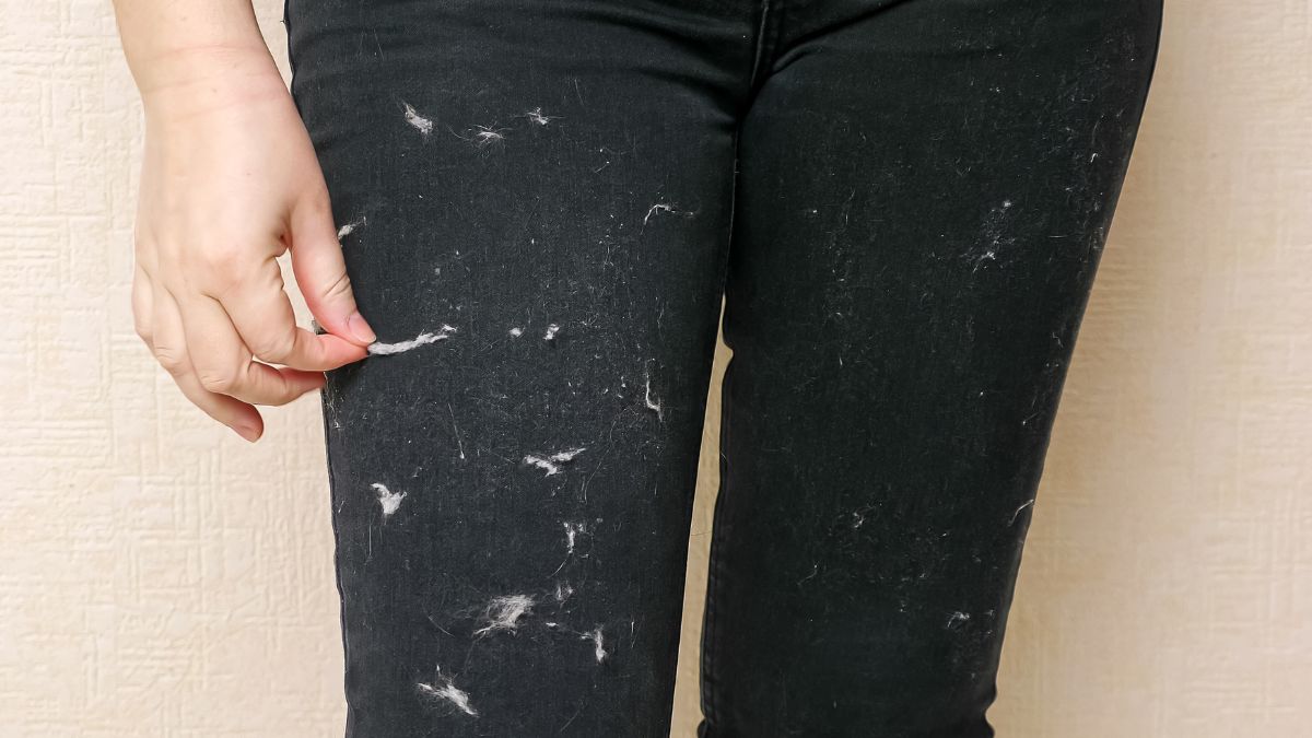 Jak pozbyć się sierści z ubrań podczas prania?