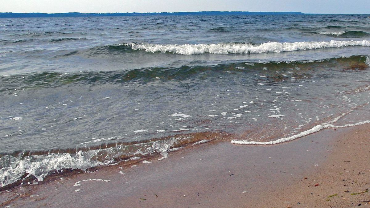 Plaża na cyplu w Rewskie, znajdująca się w Zatoce Puckiej na Pomorzu.