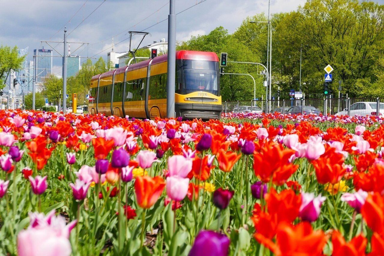Warszawa będzie latem najpiękniejsza.