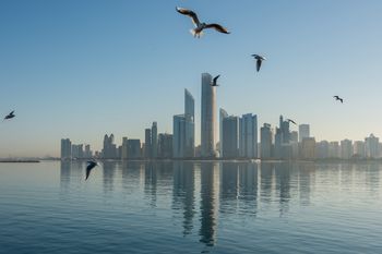 Ekstradycja z ZEA. "Witek" z trójmiejskiego półświatka przekazany Polsce