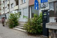 chwasty, zieleń, Piła