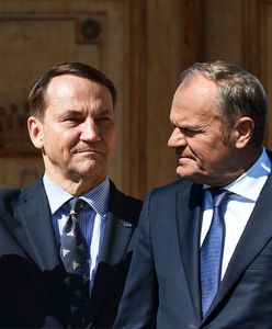 Sikorski rośnie w siłę? [OPINIA]