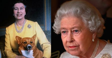 Nie żyje ostatni pies corgi Elżbiety II. "Królowa jest ZDRUZGOTANA"