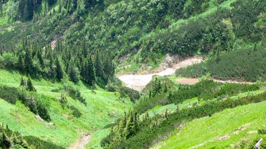 Eko – postanowienia noworoczne 1