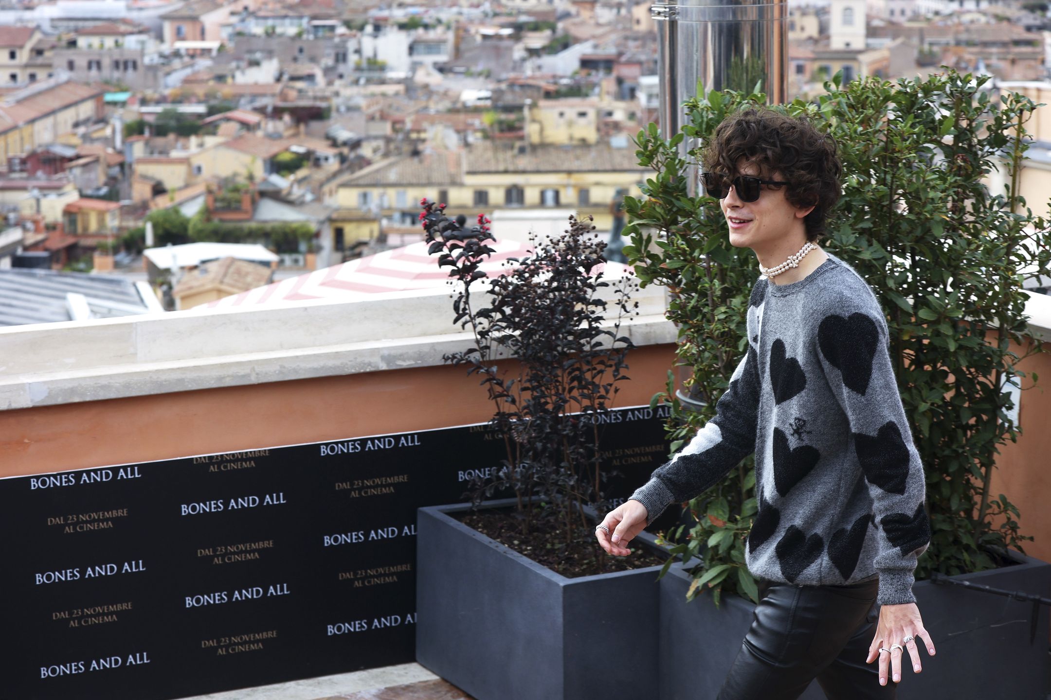 Timothée Chalamet