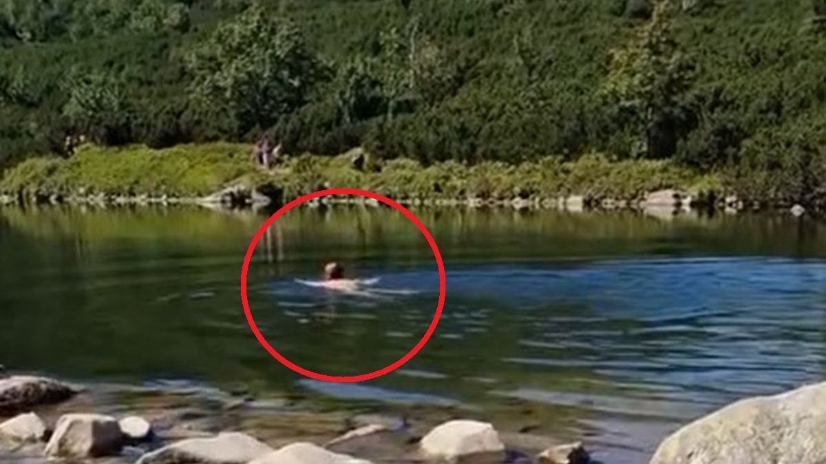Kobieta pływała w stawie w Dolinie Rohackiej. Pomimo zakazu wchodzenia do wody