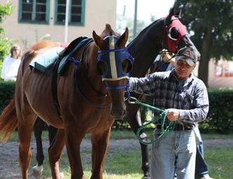 Pride of Poland 2020. Słynna aukcja rusza w weekend