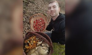 Aż dwa kosze. To nie żart. Ujęcia z lasu podbijają sieć