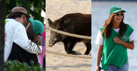 Julia Wieniawa i Nikodem Rozbicki "przyłapani" na plaży. Nadmorskie swawole przerwało im wtargnięcie DZIKA (ZDJĘCIA)