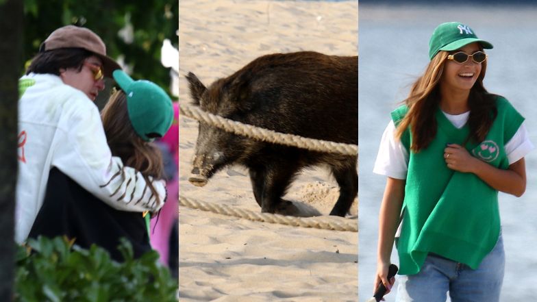 Julia Wieniawa i Nikodem Rozbicki "przyłapani" na plaży. Nadmorskie swawole przerwało im wtargnięcie DZIKA (ZDJĘCIA)