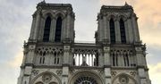 Ekolodzy są wściekli. Okazało się, czego będzie wymagała odbudowa Notre Dame