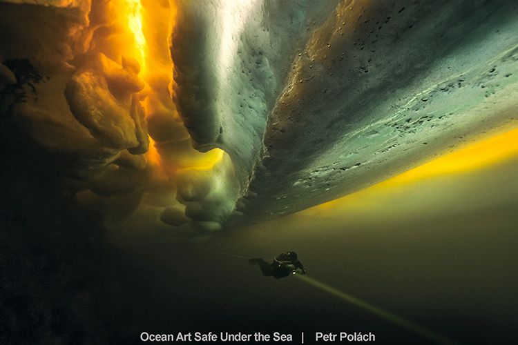 Najlepsze zdjęcia oceaniczne w konkursie Safe Under the Sea 28