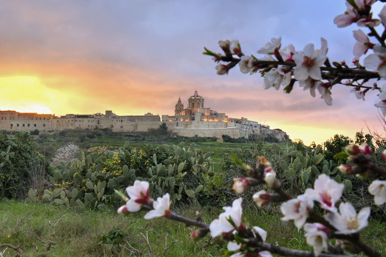 Malta. Tam, gdzie czas się zatrzymał. Miasto Ciszy i jego przedmieścia