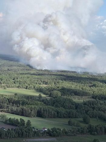 Groźny pożar lasu w powiecie wołomińskim. Na miejscu 65 zastępów straży pożarnej i śmigłowiec Black Hawk