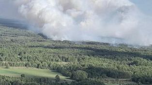 Groźny pożar lasu w powiecie wołomińskim. Na miejscu 65 zastępów straży pożarnej i śmigłowiec Black Hawk