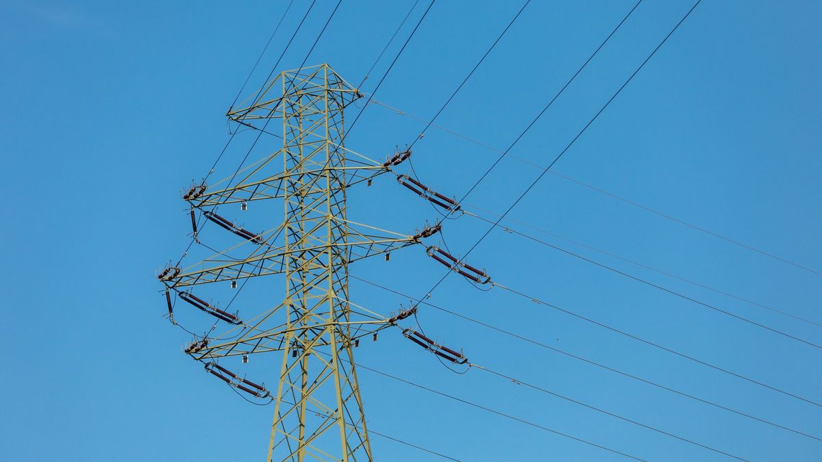 PSE pokaże szczytowe godziny zapotrzebowania na prąd