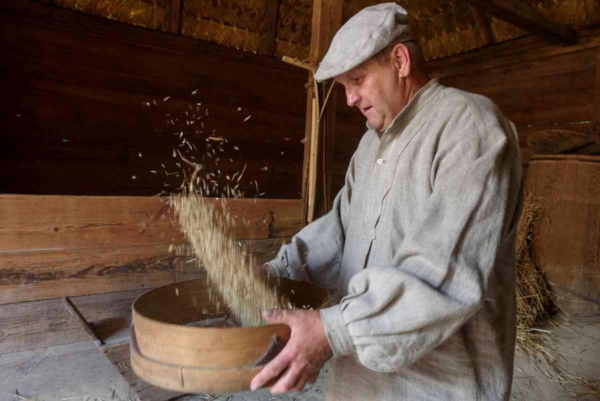 Żniwowanie w Skansenie w Lublinie
