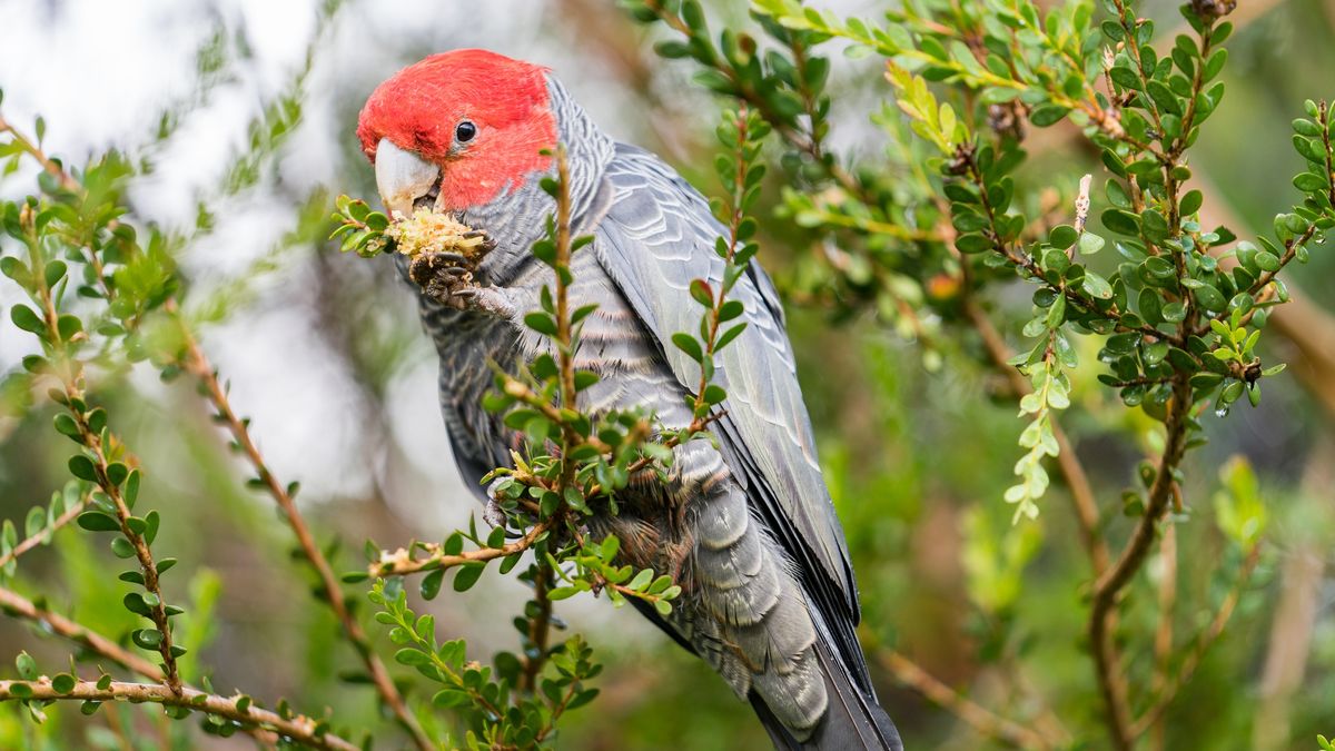 Krzyżówka z wiedzy ogólnej