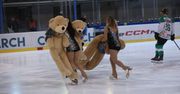 Setki misiów pofrunęły na lód czyli Teddy Bear Toss na Cracovii