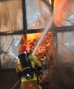 Łódź. Trwa gaszenie składu makulatury