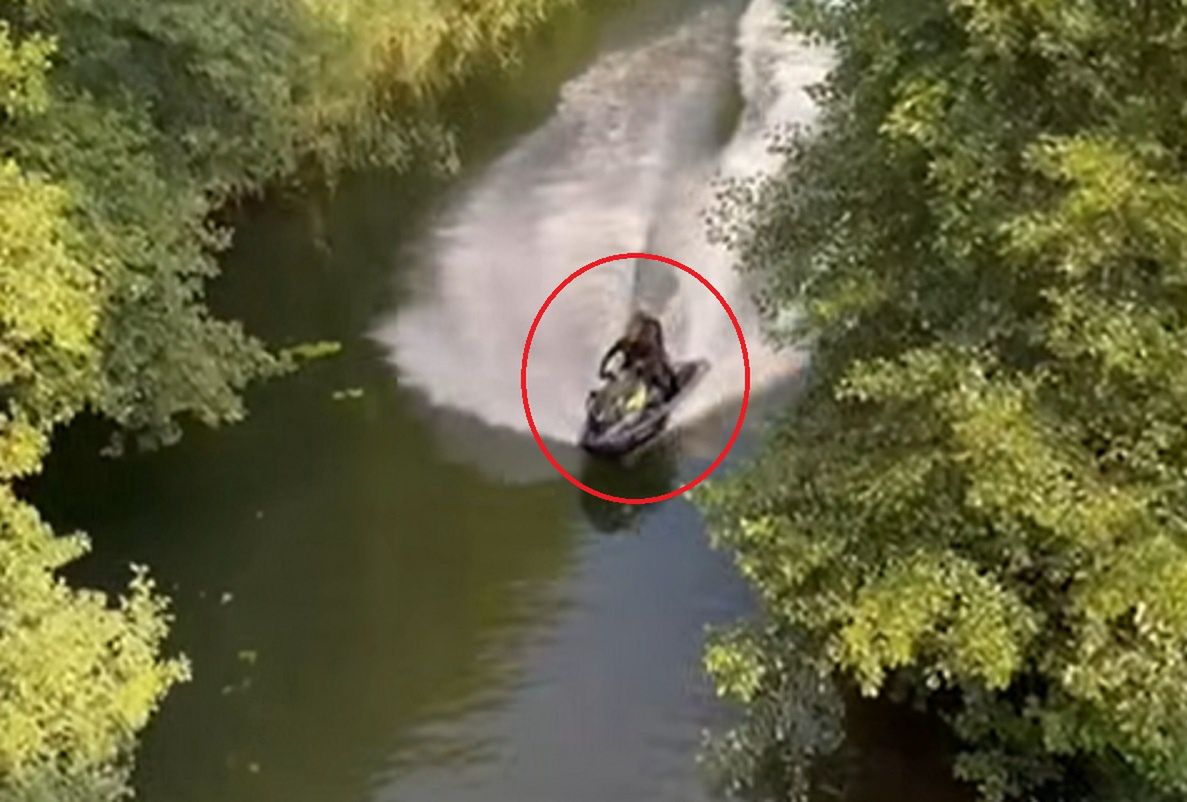 Patologia na rzece Piława? Nagranie pojawiło się w sieci