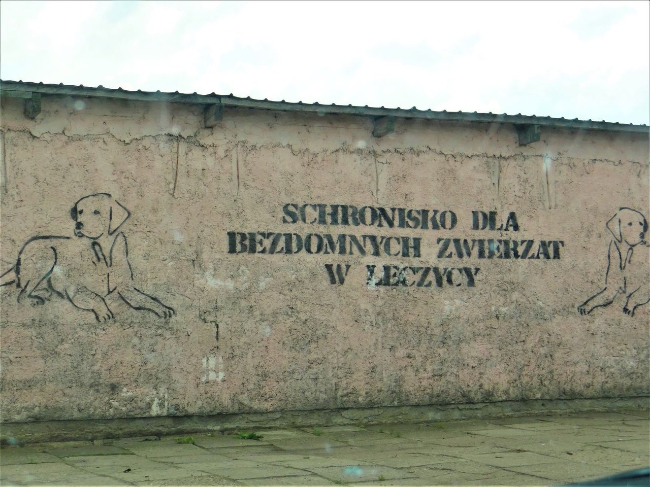 Łęczyca. Miasto wystawi na sprzedaż działkę po schronisku