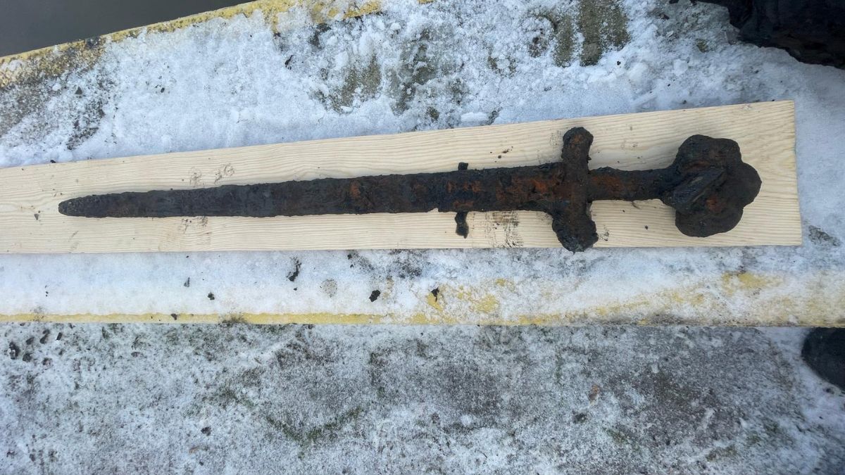 Skarb wyłowiono w okolicy przystani we Włocławku.