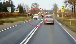 Ogromny mandat. "Pan STOP" tylko rozłożył ręce