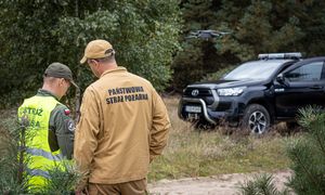 Już trwa w całej Polsce. Na to uważaj w lesie w majówkę