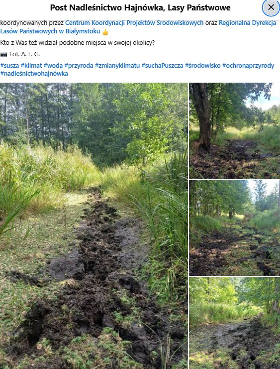 Rzeka Perebel na niektórych odcinkach prawie całkiem wyschła.