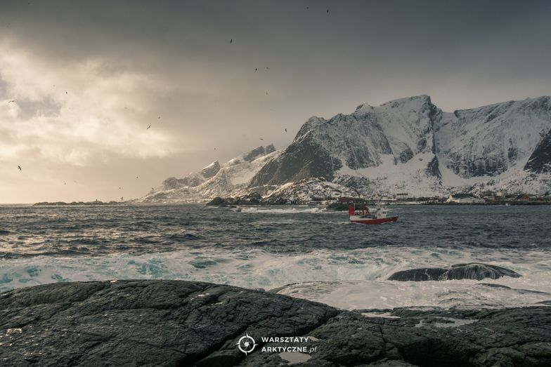 #moneypomaga. Fotograficzne warsztaty arktyczne