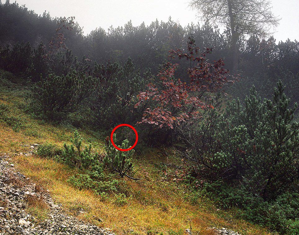 Simon Menner sfotografował snajperów niemieckiej armii. Tylko gdzie oni się podziali? 11
