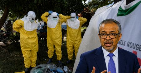 Ebola rozprzestrzenia się w zastraszającym tempie. WHO alarmuje