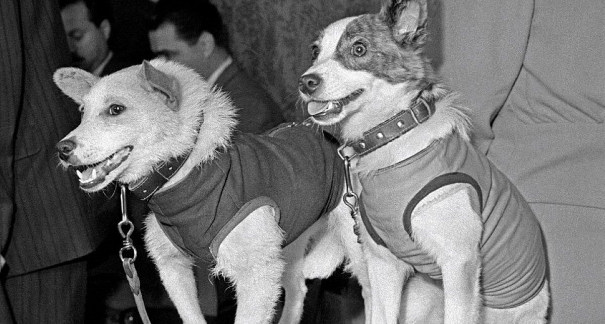 Belka i Strelka