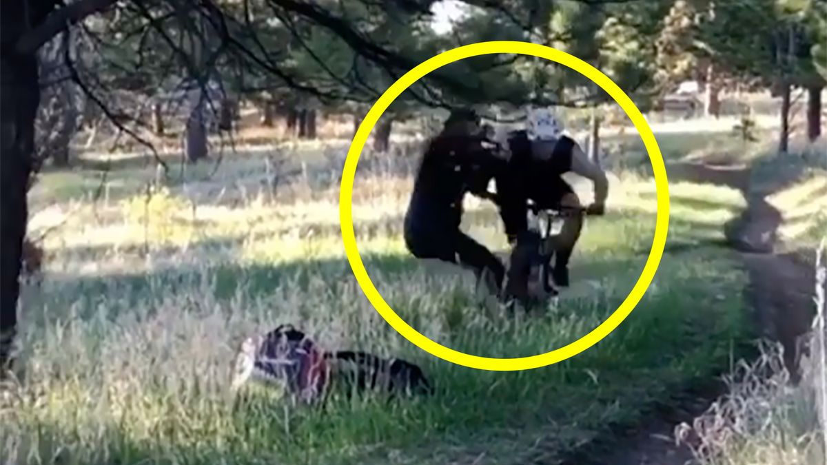 Uważaj, jak fotografujesz, bo możesz oberwać 1