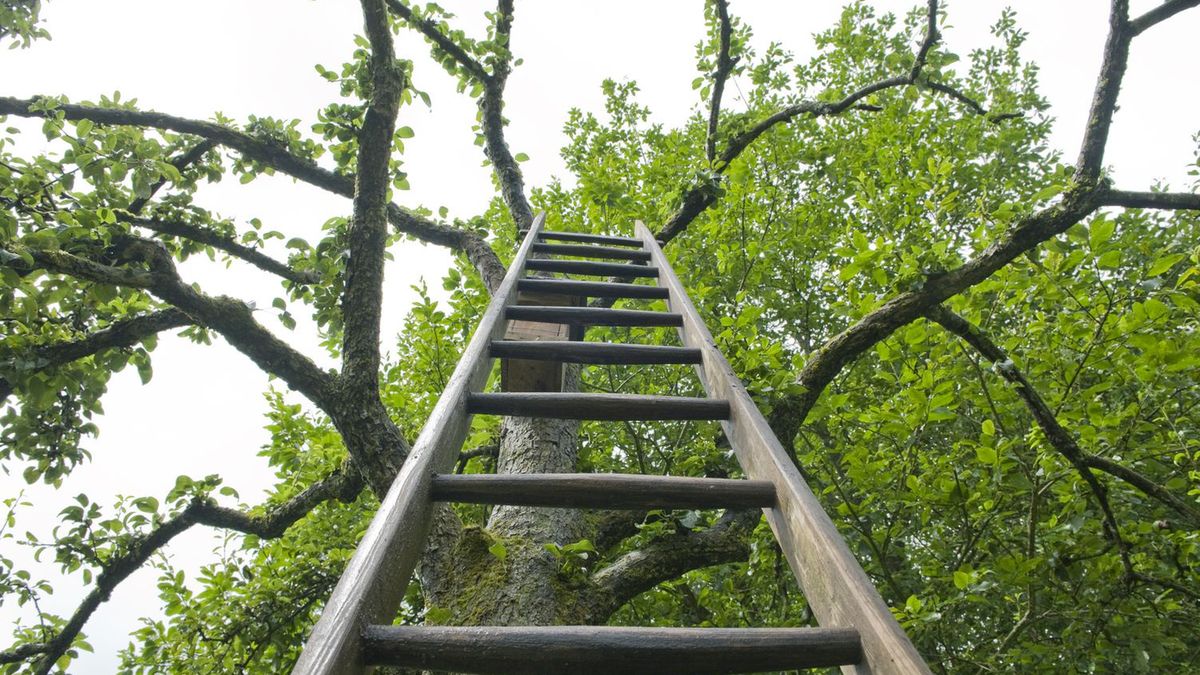 Mężczyzna spadł z drabiny, w jego akcie zgonu lekarz wpisał "COVID-19". Zdjęcie ilustracyjne