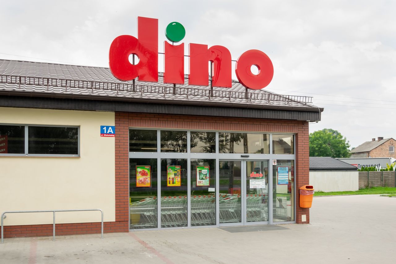 Dino odpaliło nowe promocje. Nawet 80 proc. taniej