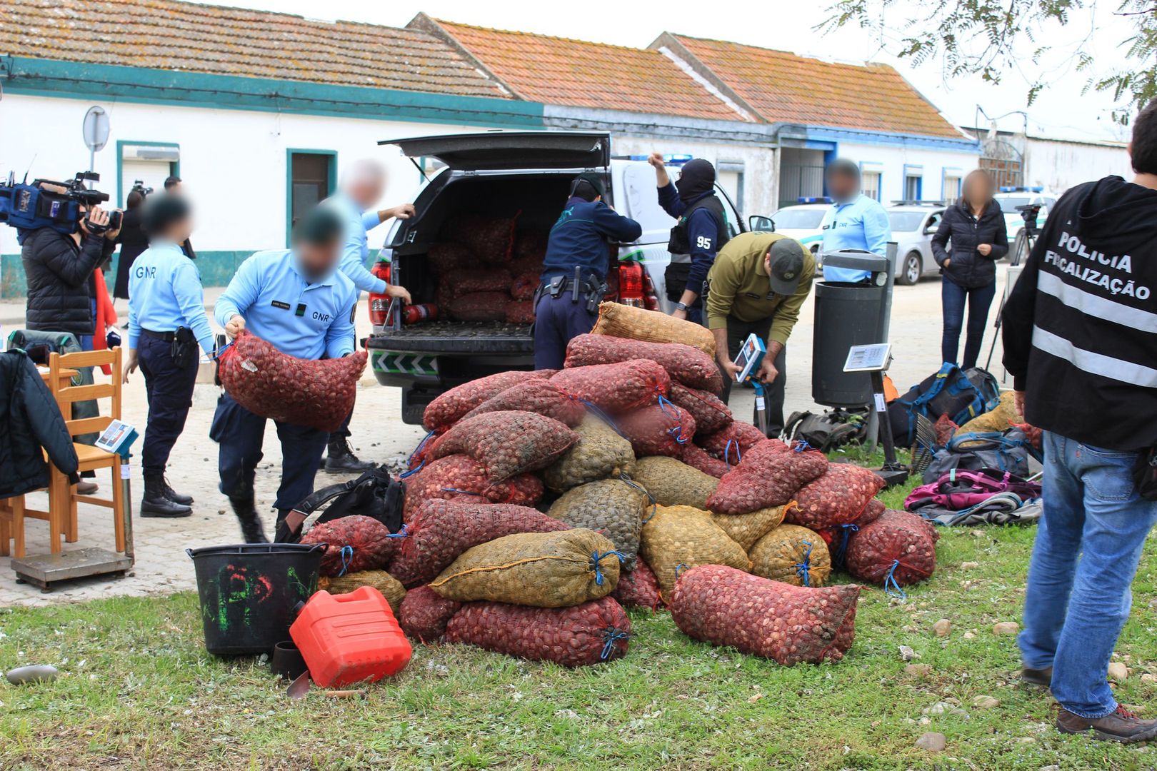 Policja przejęła 30 ton małży. Powodem potencjalne skażenie wirusem