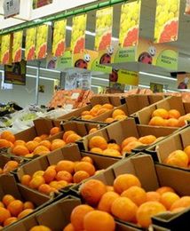 Polacy pokochali zakupy w dużych sieciach. Nasze sklepy bez szans