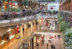 Wydatki na tegoroczne święta. 500+ nakręci sprzedaż