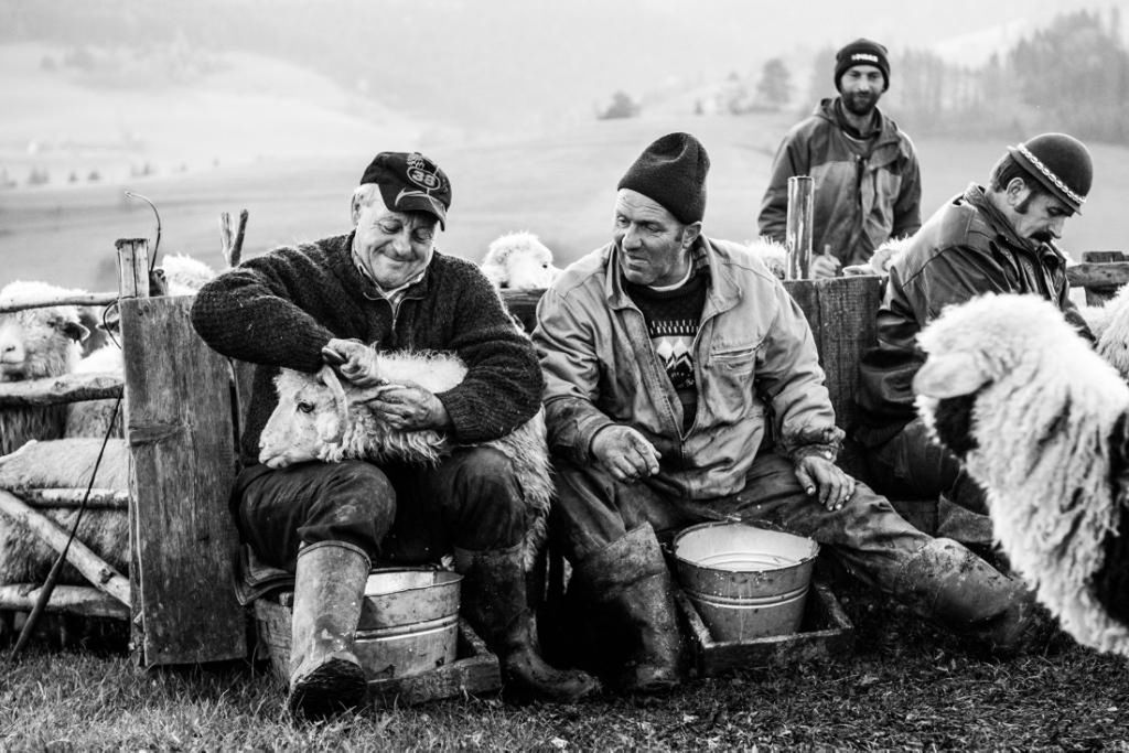 Runmageddon, protest i życie bacówki, czyli zwycięzcy konkursu Śląska Fotografia Prasowa 2016 10
