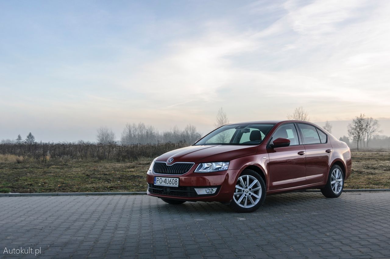 Škoda Octavia 1.0 TSI Joy (2017) - czy rozmiar ma znaczenie?