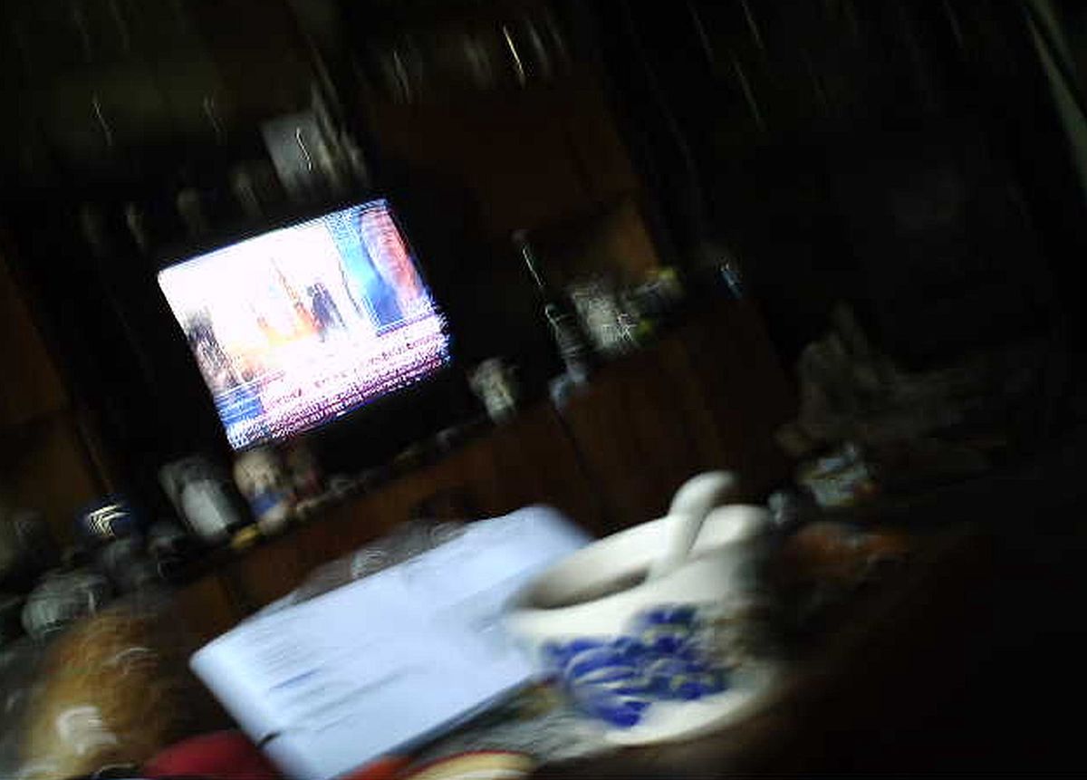 zdjęcie z fotopułapki
