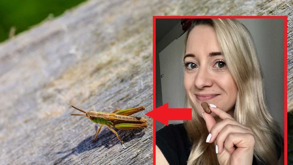 Producenci przekonują, że jedzenie owadów to nie tylko ogromna korzyść dla zdrowia, ale również dla naszej planety.