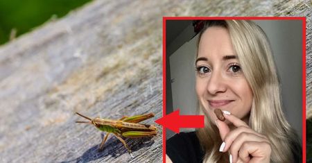 Jadalne owady coraz popularniejsze. Sprawdziłam, jak smakują świerszcze z marketu
