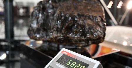 W Gdańsku padł rekord Guinnessa. Aż trudno uwierzyć własnym oczom